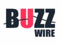 Spill Buzz Wire
