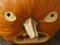 Spill 5 in 1 Picture Puzzle: Halloween