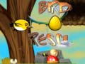 Spill Bird Rescue