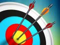 Spill Master Archery Shooting