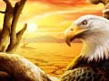 Spill Eagle