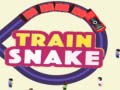 Spill Train Snake