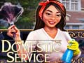 Spill Domestic Service