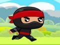 Spill Ninja