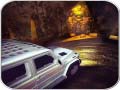 Spill Scary Car Driving Simulator