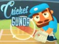 Spill Cricket Gunda