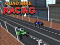 Spill Quad Bike Racing