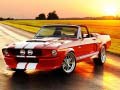 Spill Fancy Mustang Differences