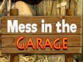 Spill Mess in the Garage