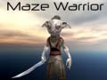 Spill Maze Warrior