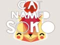 Spill Cat Named Soko