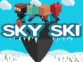 Spill Sky Ski