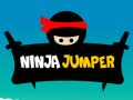 Spill Ninja Jumper 