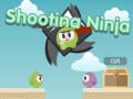 Spill Shooting Ninja