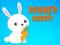 Spill Runner Rabbit