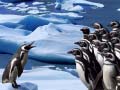 Spill Penguins Slide
