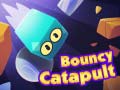 Spill Bouncy Catapult