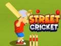 Spill Street Cricket