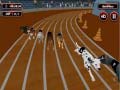 Spill Crazyl Dog Racing Fever