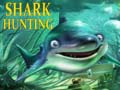 Spill Shark Hunting