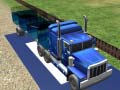 Spill Sea Animal Transport