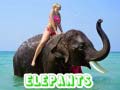 Spill Elephants Puzzle