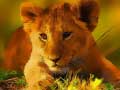 Spill Wild Baby Animals Jigsaw