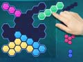 Spill Block Hexa Puzzle