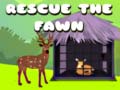Spill Rescue the fawn