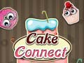 Spill Cake Connect