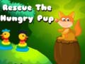 Spill Rescue the hungry pup