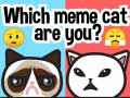 Spill Which Meme Cat Are You?