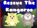 Spill Rescue the kangaroo