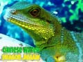 Spill Chinese Water Dragon Jigsaw