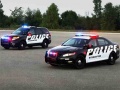Spill Police Cars Puzzle