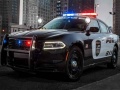 Spill Police Cars Slide