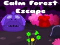 Spill Calm Forest Escape