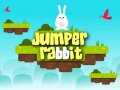 Spill Jumper Rabbit
