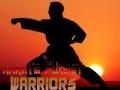 Spill Karate Sunset Warriors