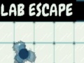 Spill Lab Escape