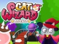 Spill Cat Wizard Defense