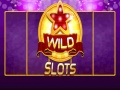 Spill Wild Slot