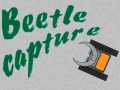 Spill Beetle Capture