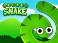 Spill Frenzy Snake