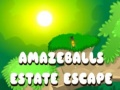 Spill Amazeballs Estate Escape
