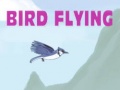 Spill Bird Flying