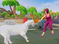 Spill Angry Goat Wild Animal Rampage