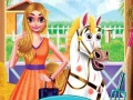Spill Princess Pet Treatment