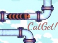 Spill CatGet!
