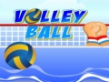 Spill Volley ball
